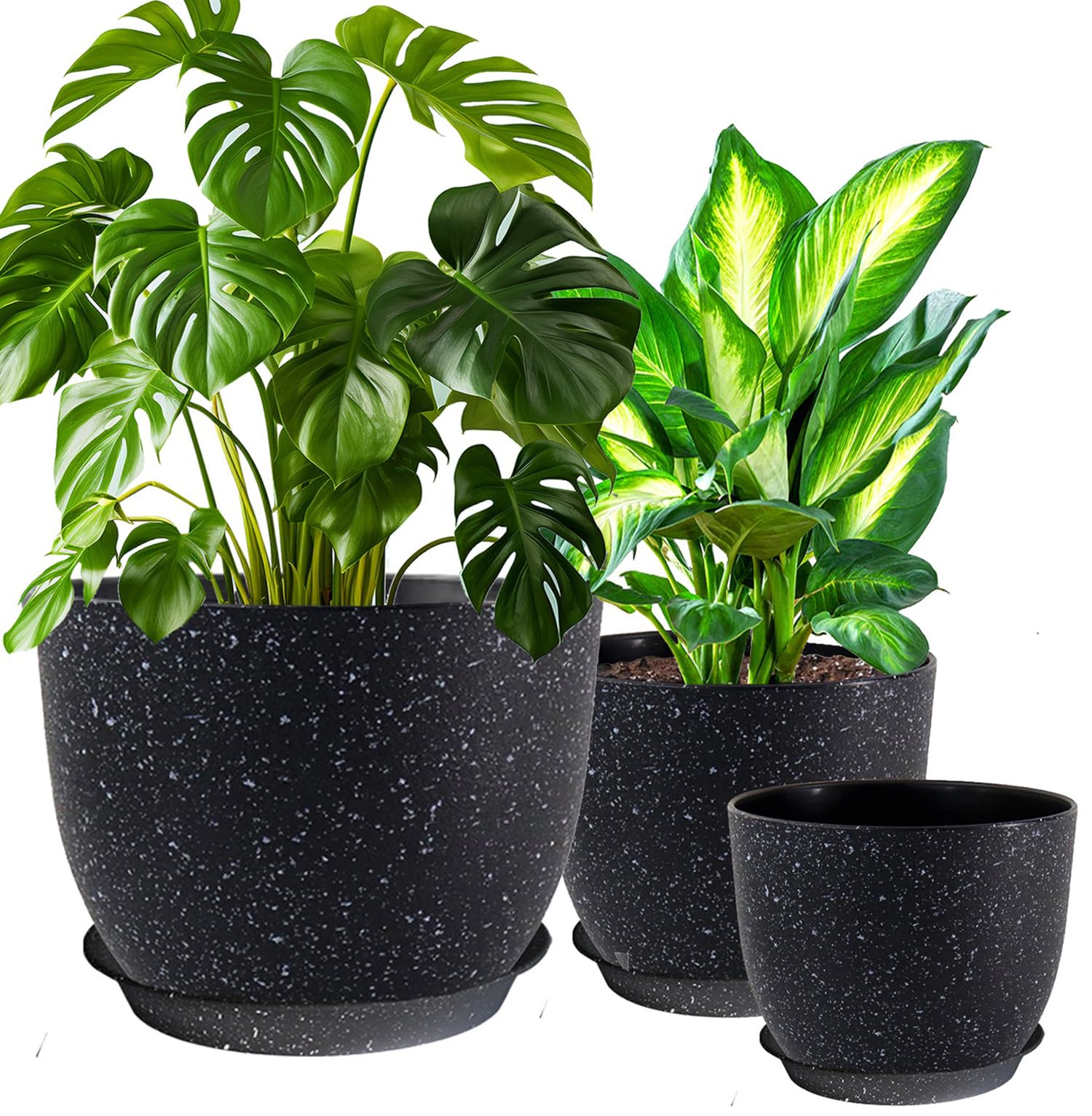 フラワー・ガーデニング BOTANIZE Plastic Pot Bowl SP 3set Landscape Basics 14 inch Siena Bowl Assorted Colour Annual Planter